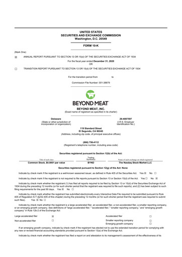 Thumbnail Beyond Meat 10-K Annual Report 2020