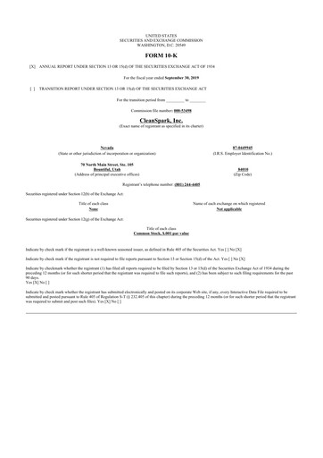 Thumbnail CleanSpark 10-K Annual Report 2019