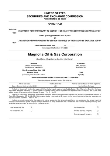 Thumbnail Magnolia Oil & Gas 10-Q Quarterly Report FY2019 