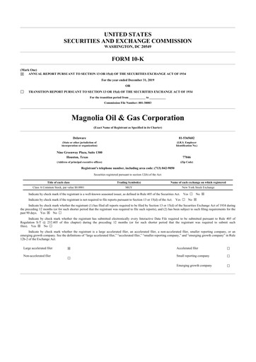 Thumbnail Magnolia Oil & Gas 10-K Annual Report 2019