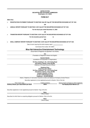 Thumbnail Blue Hat Interactive Entertainment Technology 20-F Annual Report 2020