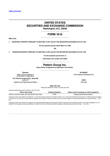 Thumbnail Pattern Group 10-Q Quarterly Report FY 
