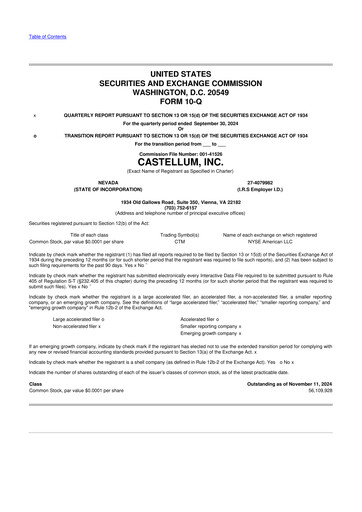 Thumbnail Castellum 10-Q Quarterly Report FY 