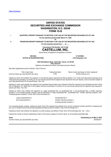Thumbnail Castellum 10-Q Quarterly Report FY 