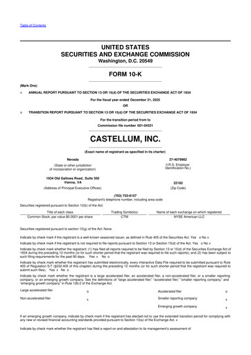 Thumbnail Castellum 10-K Annual Report 