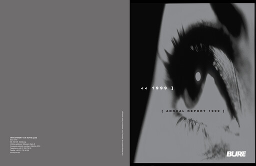 Miniature Bure Equity AB Rapport annuel 1999