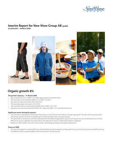 Thumbnail New Wave Group Quarterly Report 2008-q1