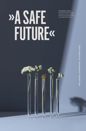 Thumbnail Troax Group AB Sustainability Report 2020