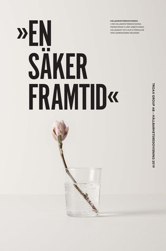 Thumbnail Troax Group AB Sustainability Report 2019