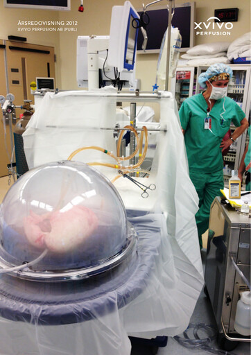 Miniature Xvivo Perfusion AB Rapport annuel 2012
