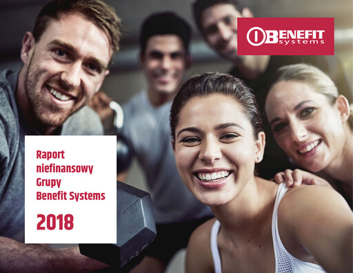 Miniature Benefit Systems Rapport ESG 2018