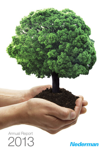 Vorschaubild Nederman Holding Jahresbericht 2013