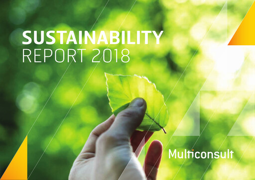 Miniature Multiconsult Rapport de durabilité 2018