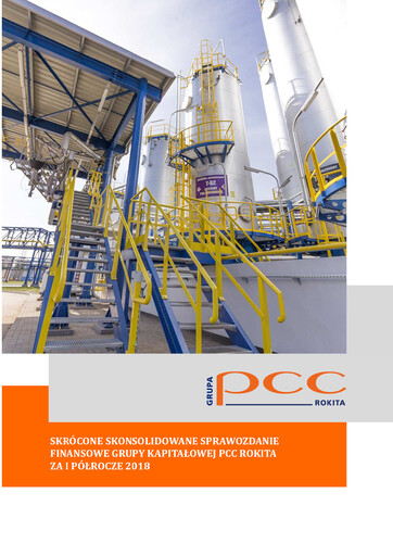 Thumbnail PCC Rokita Financial Statement 2018-h1
