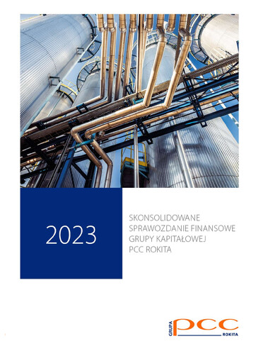 Thumbnail PCC Rokita Financial Statement 2023