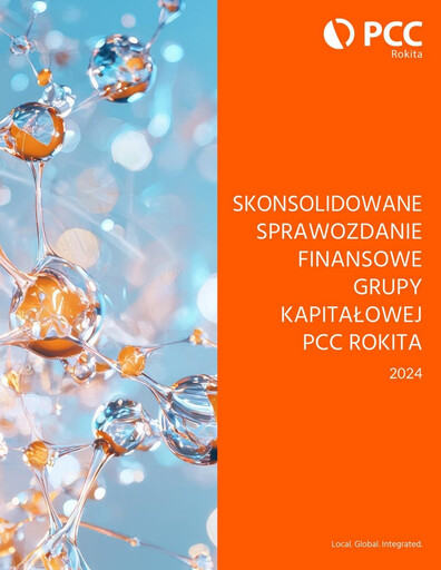 Thumbnail PCC Rokita Financial Statement 2024