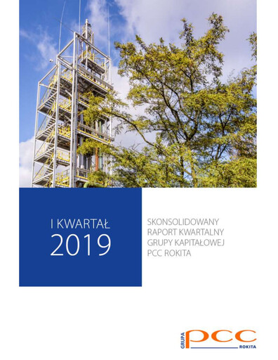 Miniature PCC Rokita Rapport trimestriel 2019-q1