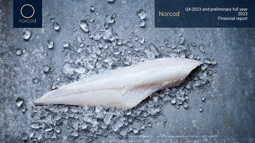 Vorschaubild Norcod AS Quartalsbericht 2023-q4