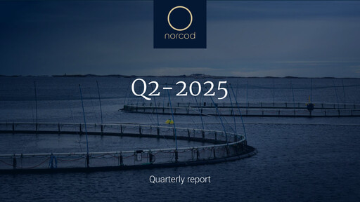 Vorschaubild Norcod AS Quartalsbericht 2025-q2
