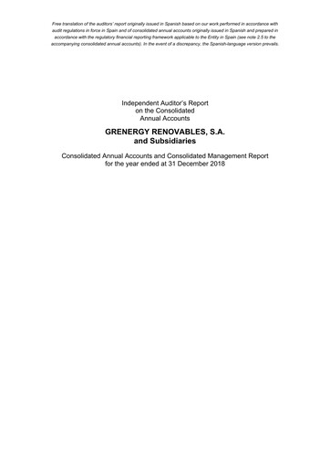 Thumbnail Grenergy Renovables Financial Statement 2018