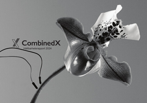 Thumbnail CombinedX Sustainability Report 2024