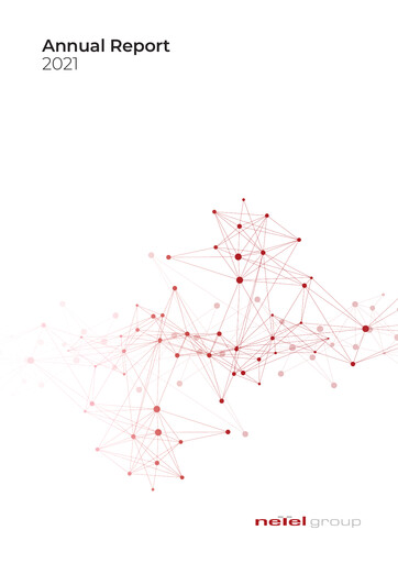 Miniature Netel Holding Rapport annuel 2021