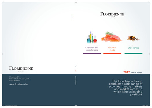 Thumbnail Floridienne S.A. Annual Report 2012