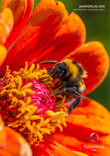 Thumbnail Floridienne S.A. Annual Report 2018