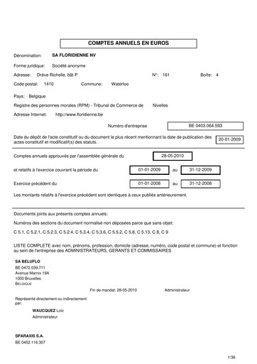Thumbnail Floridienne S.A. Financial Statement 2009