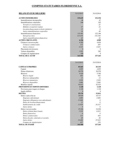 Thumbnail Floridienne S.A. Financial Statement 2015