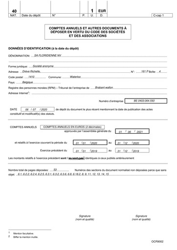Thumbnail Floridienne S.A. Financial Statement 2020