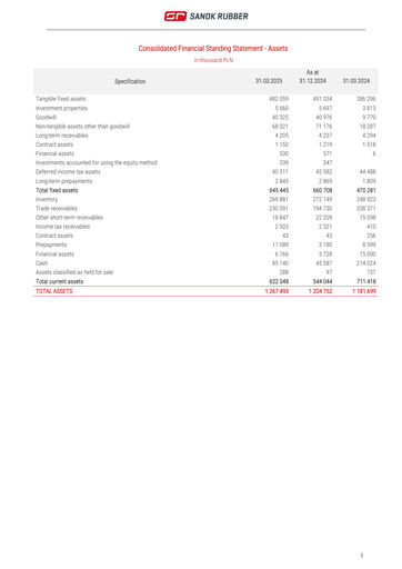 Thumbnail Sanok Rubber Company Financial Statement 2025-q1
