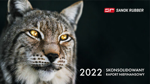 Miniature Sanok Rubber Company Rapport de durabilité 2022