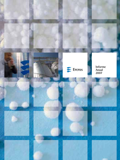 Thumbnail Ercros Annual Report 2007