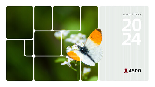 Thumbnail Aspo Oyj Annual Report 2024