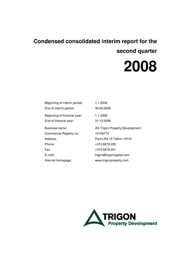 Miniature AS Trigon Property Development Rapport semestriel 2008-h1