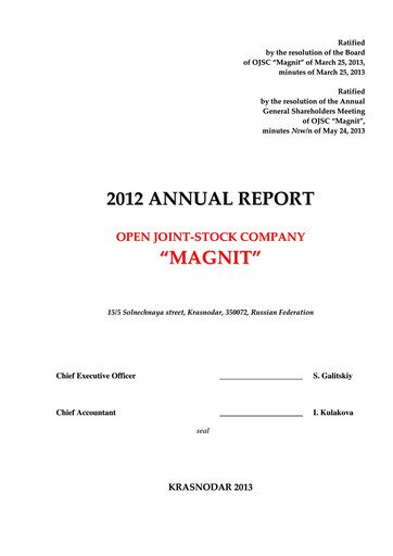 Vorschaubild Magnit
 Jahresbericht 2012