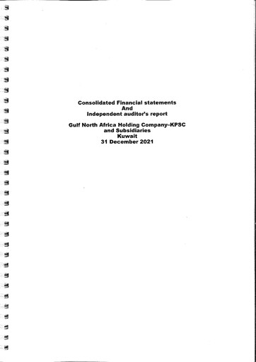 Miniature Rasiyat Holding Company Bilan financier 2021