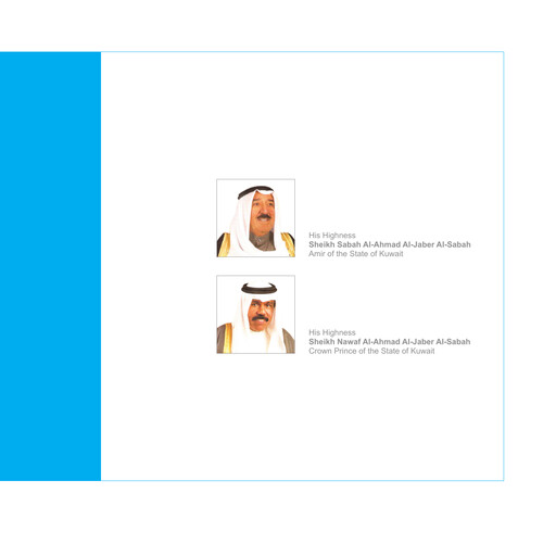 Thumbnail Al Soor Fuel Marketing Company K.S.C.P. Annual Report 2008