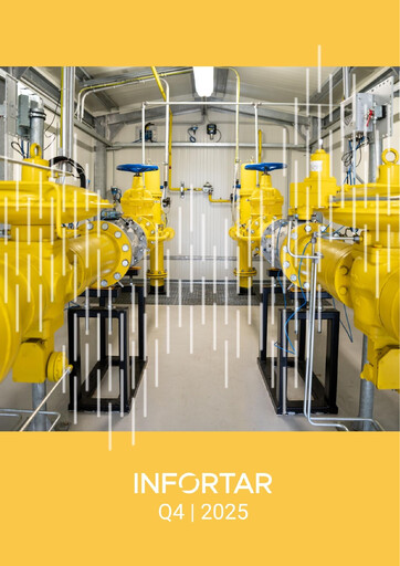 Thumbnail Infortar Financial Report 2025