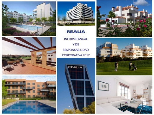 Miniature Realia Business Rapport annuel 2017