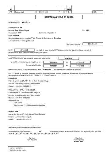 Thumbnail Spadel Financial Statement 2010