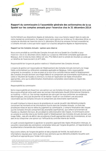 Thumbnail Spadel Financial Statement 2014
