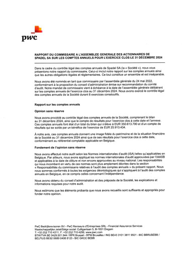 Thumbnail Spadel Financial Statement 2024