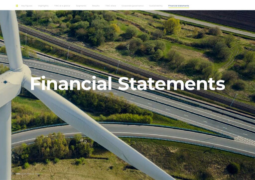 Thumbnail TINC NV Financial Statement 2025