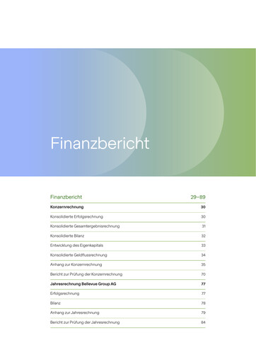Thumbnail Bellevue Group Financial Report 2024