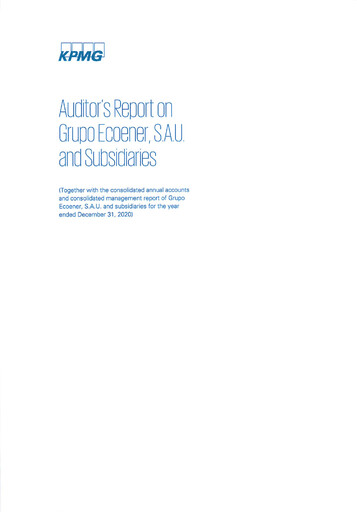 Thumbnail Ecoener Financial Statement 2020