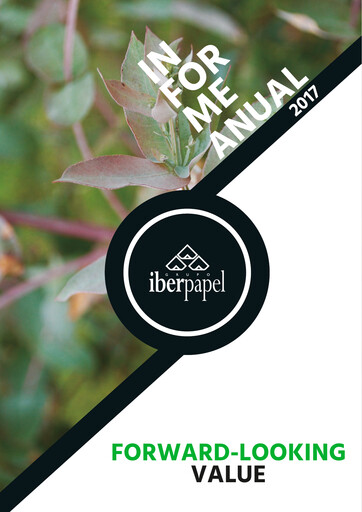 Vorschaubild Iberpapel Gestión Jahresbericht 2017