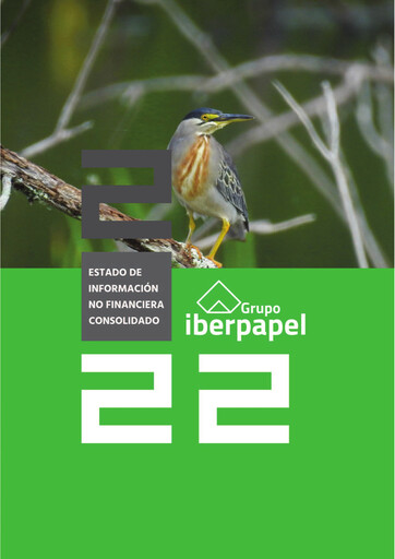 Vorschaubild Iberpapel Gestión Nachhaltigkeitsbericht 2022
