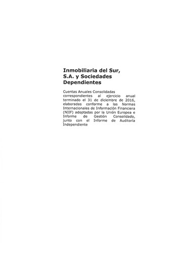 Thumbnail Inmobiliaria del Sur Financial Statement 2016